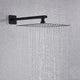Matte Black Shower Head