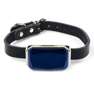 Waterproof Pet Collar Locator