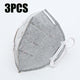 Anti Pollution Mask