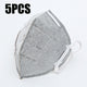 Anti Pollution Mask