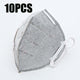Anti Pollution Mask