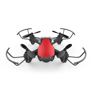 Mini RC Drone