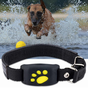 Mini Pet GPS Tracker