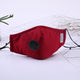 Anti Pollution N95 Mouth Mask