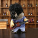 Pet Guitar Clothes