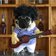 Pet Guitar Clothes