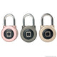 Smart Fingerprint Small Padlock