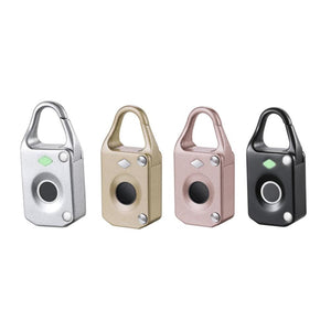 Anti-Theft Fingerprint Lock