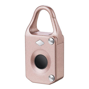 Anti-Theft Fingerprint Lock