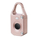 Anti-Theft Fingerprint Lock