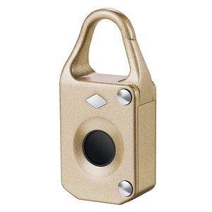 Electronic Intelligent Padlock