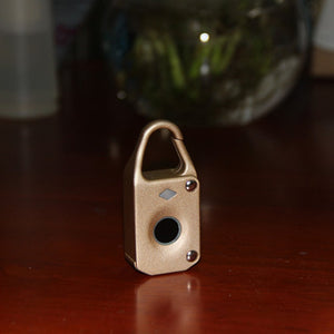 Electronic Intelligent Padlock