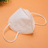 Disposable N95 Mask