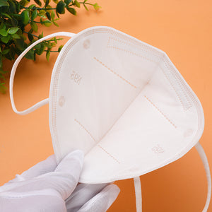 Disposable N95 Mask