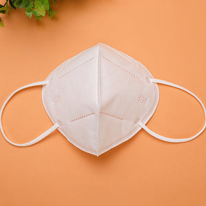 Disposable N95 Mask