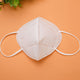 Disposable N95 Mask