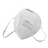 1/10PCS Disposable N95 Mask