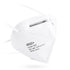 10Pcs N95 Face Mask