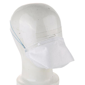 Professional dust mask