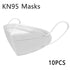 PM 2.5 Anti-Flu Face Masks