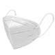 N95 Mouth Mask