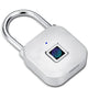 Thumbprint Door Padlocks