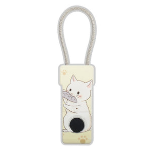 Small Electronic Lock