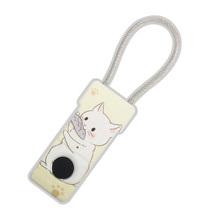Small Electronic Lock