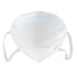 KN95 Filter Anti-Dust Masks