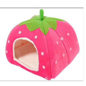 Spring and Autumn Pet House