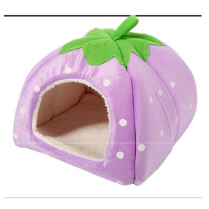 Spring and Autumn Pet House